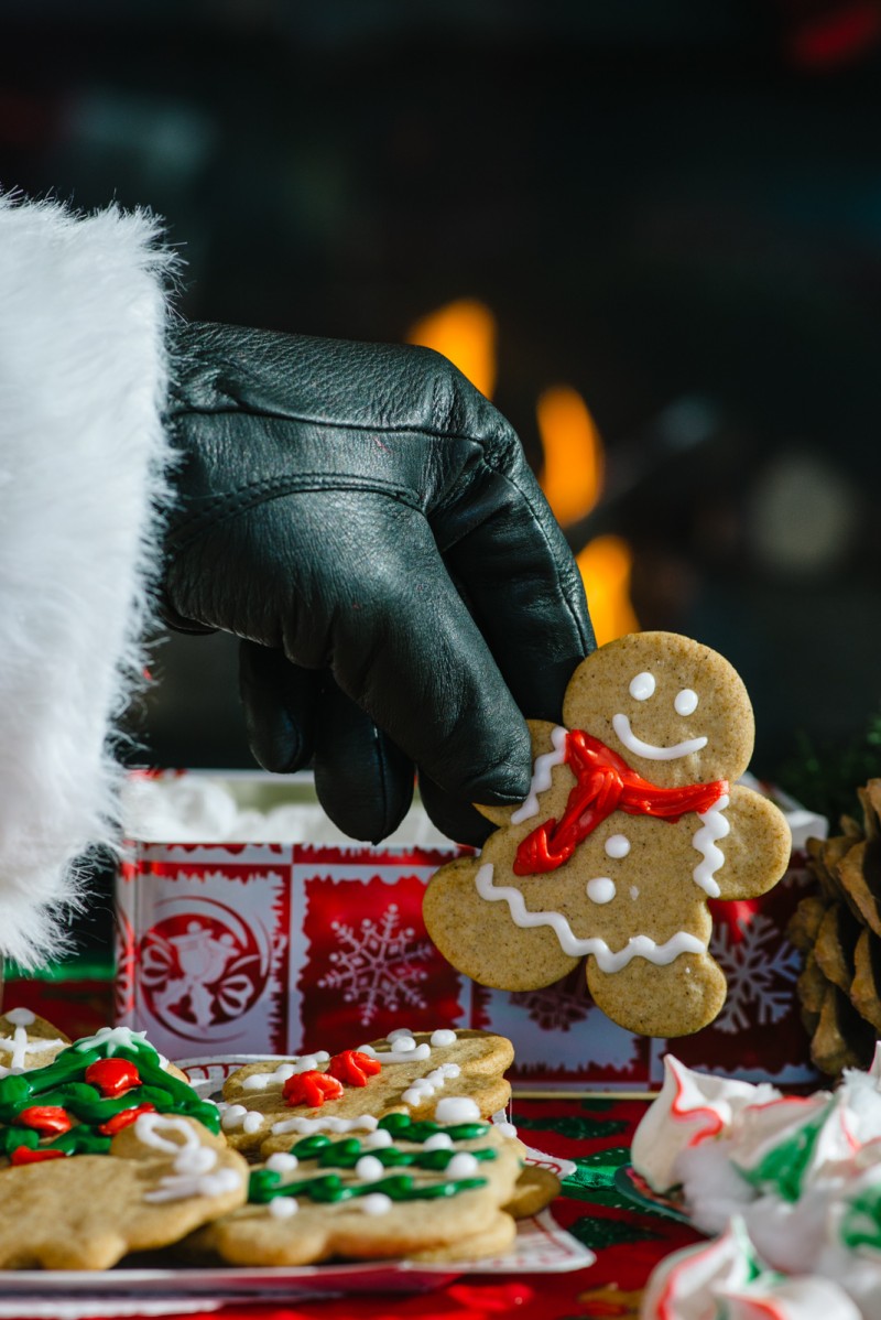 Christmas Cookies for Santa