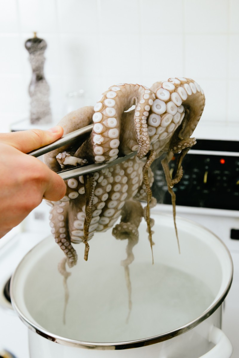 Chef cooking octopus