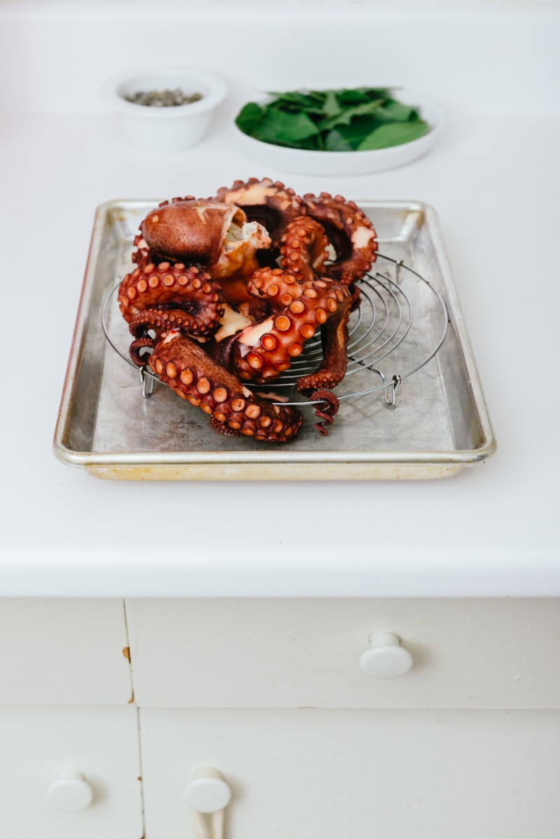 Octopus drying on rack