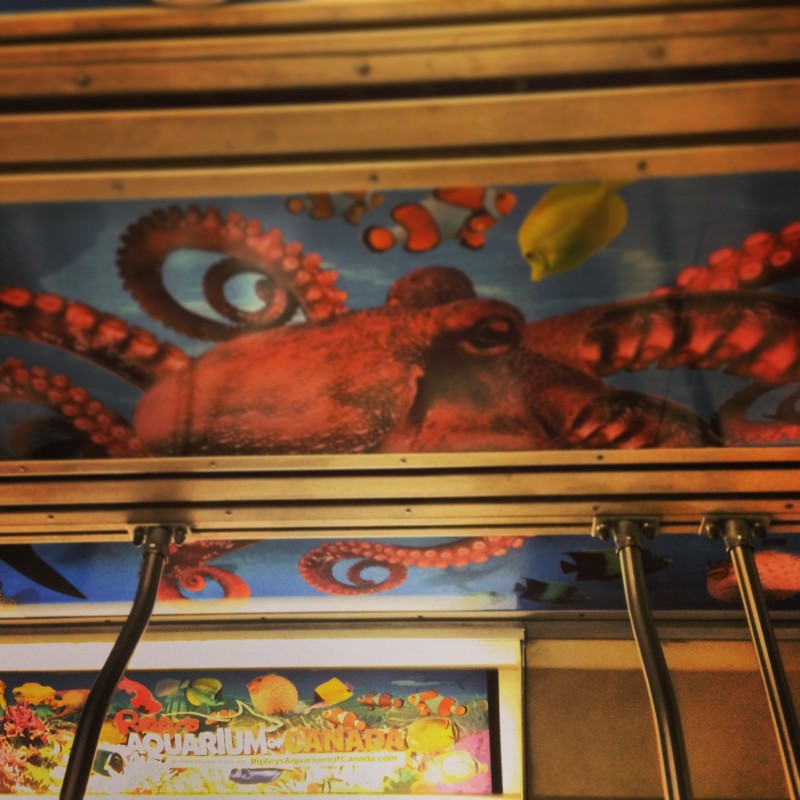 Octopus on the Streetcar