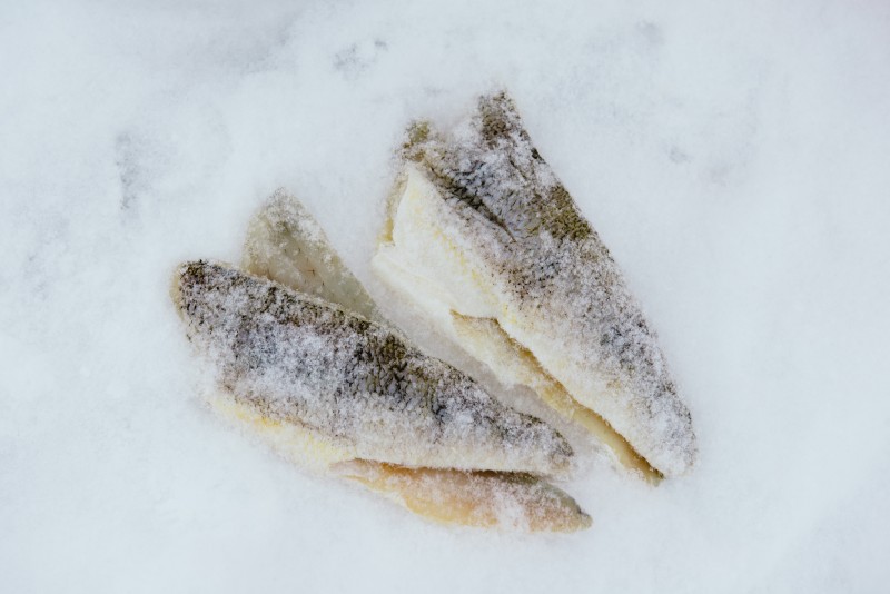 Perch fillets in snow